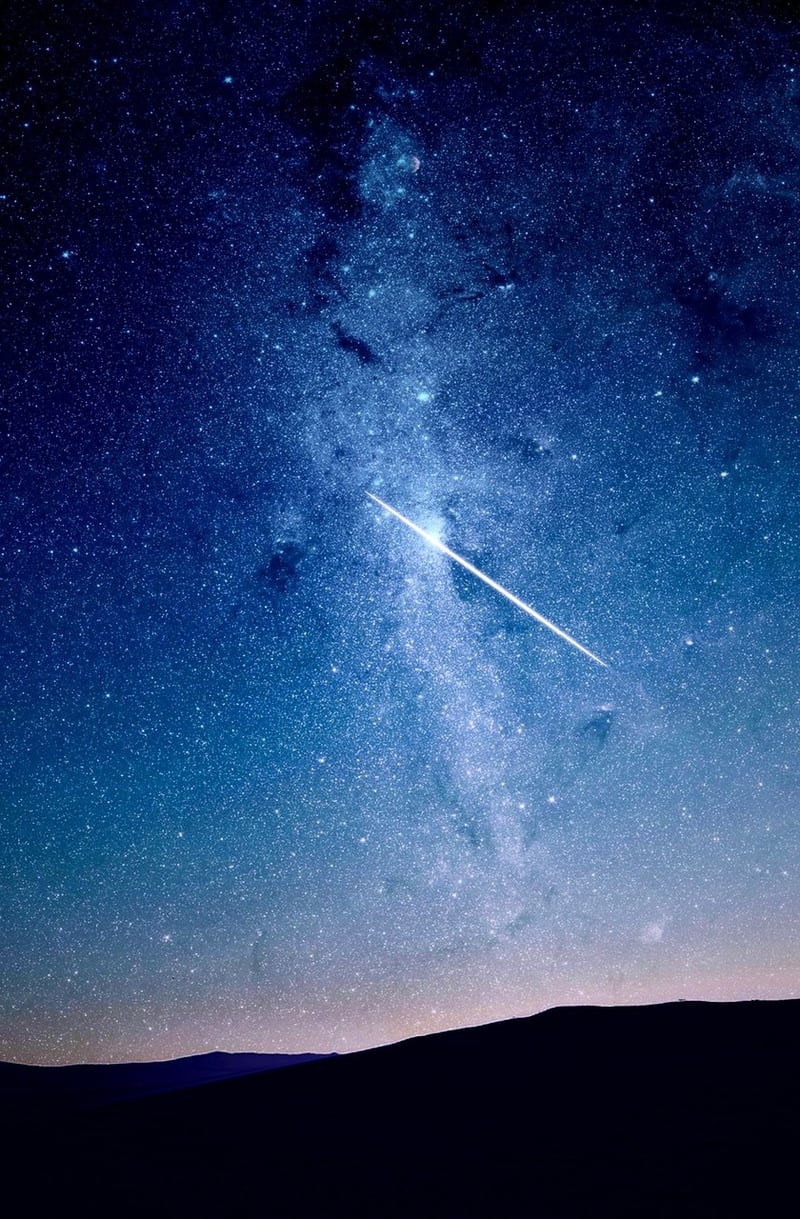 Cosmic garden